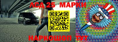 Альфа ПВП Кандалакша