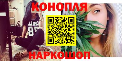 Альфа ПВП Кандалакша