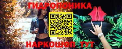 Альфа ПВП Кандалакша