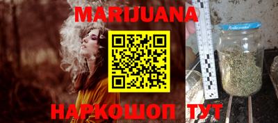 Альфа ПВП Кандалакша