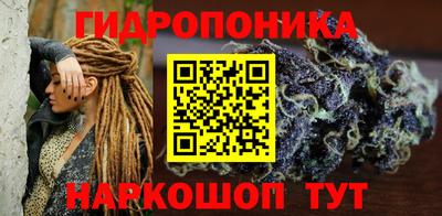 спиды Канаш