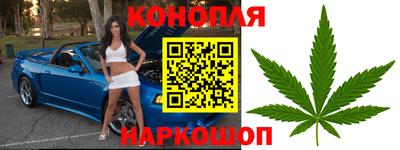 спиды Канаш